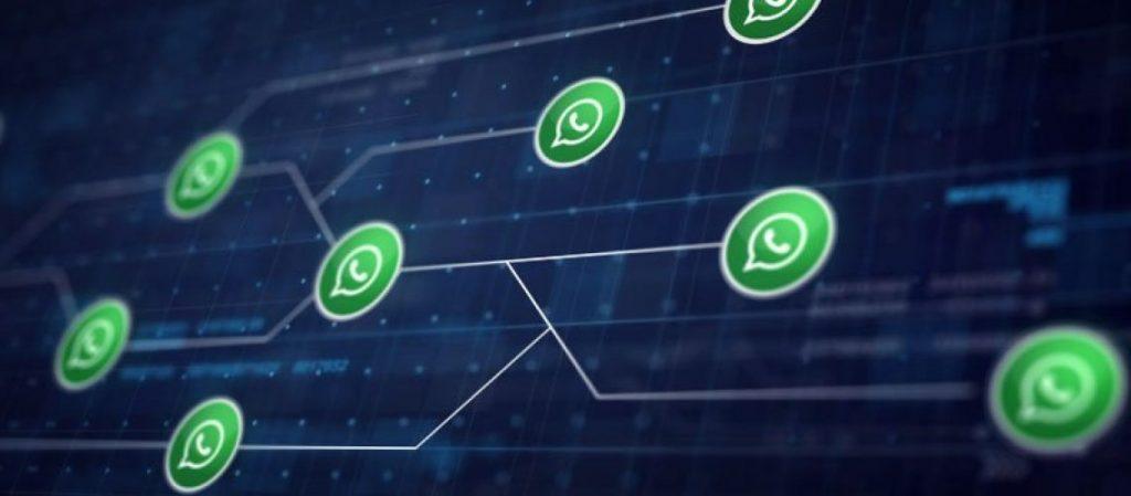Mobile marketing: como o WhatsApp se tornou fundamental para os negócios